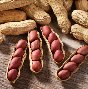 Compre <span class=keywords><strong>Cacahuetes</strong></span> Frescos de Alta Calidad, <span class=keywords><strong>Crudos</strong></span> y Secos, con Piel Roja, Sabor Premium para Tostar y Cocinar - Product Image 1