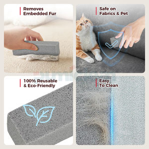 Pierre ponce magique pour enlever les poils d'animaux, pour le nettoyage domestique intensif, pour les tapis, vente en gros - Product Image 4