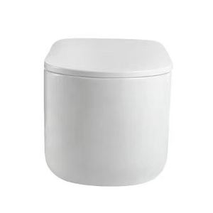 Inodoro Flotante de Pared de Una Pieza con Diseño Moderno Europeo, Descarga Tornado de Cerámica, Tanque Oculto y Doble Descarga - Product Image 5
