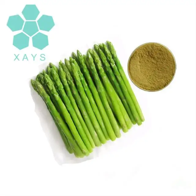 Werkslieferung 100 % reiner bio-getrockneter Asparagus Wurzelpulver Asparagus