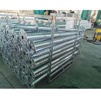 Pieux métalliques de fixation pour systèmes solaires, conçus pour l'usine, fondations d'ancrage en acier galvanisé, haute capacité de charge, résistance au vent 60 m/s