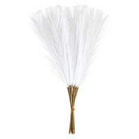 Rumput Pampas Bulu Halus 55cm, Tanaman Bunga Dekoratif Bohemian, Dekorasi Rumah, Bunga Buatan