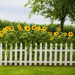Celia-VALLA DE Metal pequeña <span class=keywords><strong>para</strong></span> flores de jardín, productos nuevos, 2021 - Product Image 5