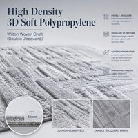 Tapis tissé Wilton de 13 mm d'épaisseur, tapis d'appoint en polypropylène 3D doux haute densité, double jacquard, taille personnalisable, OEM ODM, tapis pour la maison