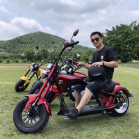 Scooter électrique à deux roues EEC 60V avec moteur sans balais 1500W, vitesse maximale de 45 km/h, moto électrique