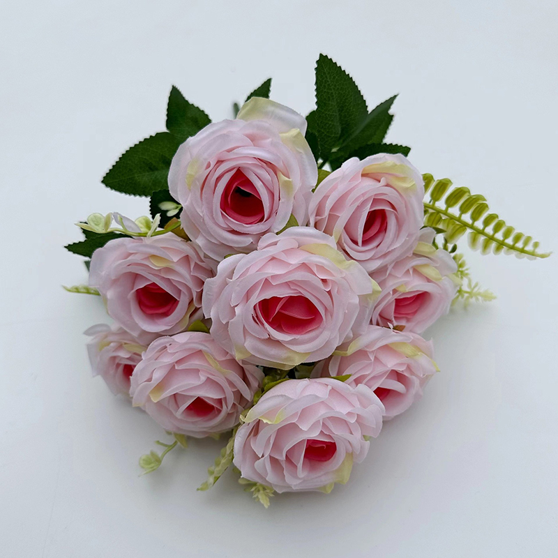 Rosa