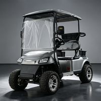 Carrito de Golf Eléctrico de 2 Plazas Directo de Fábrica para Filipinas, Carrito de Golf Eléctrico de 2 Plazas en Venta