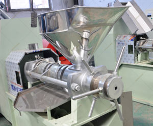 เครื่องสกัดน้ำมันแบบสกรูไฟฟ้าเฟสเดียว JCX-70 รุ่นใหม่ สำหรับสกัดน้ำมันเมล็ดทานตะวัน งา วอลนัท และถั่วลิสง - Product Image 2