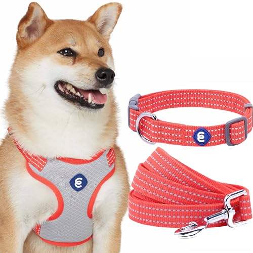 Fiery Red - Collar + Leash + Harness