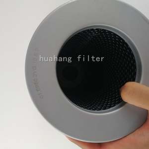 01E.170.10VG.30.E.P Filtro de aceite hidráulico de repuesto Elemento de filtro de aceite hidráulico 01E.170.10VG.30.E.P - Product Image 6