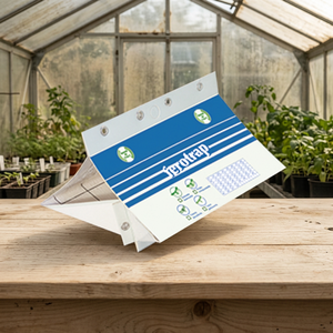 Trappola adesiva Ferotrap di alta qualità italia-realizzata per il monitoraggio dell'infestazione da falene pasto efficace controllo dei parassiti - Product Image 3