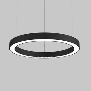 Anillo redondo minimalista de 75cm de diámetro, luz LED lineal colgante con controlador de perfil de aluminio, luz colgante externa - Product Image 2