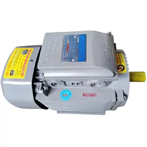 Motor Listrik, Awet, 100 Persentase Kecil, Tembaga dari Vietnam Motor Elektrik 2,2 KW 220V Kecepatan Rotasi Fase Tunggal 3000Rpm Berat 18Kg