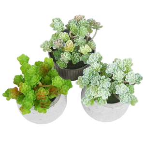 Planta Artificial Personalizada en Maceta, Productos al por Mayor, Maceta Personalizada para Escalada en Pared, Maceta Creativa para Oficina, Maceta para Suculentas - Product Image 1