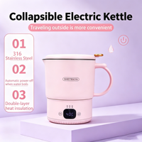 Bouilloire électrique multifonctionnelle en acier inoxydable de 800 ml, ébullition en un clic, température constante, bouilloire électrique portable
