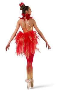 बच्चों महिलाओं आधुनिक नृत्य पोशाक जुम्पसूट पक्षी नृत्य पोशाक - Product Image 4