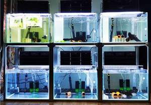 사용자 정의 알루미늄 어항 스탠드 알루미늄 프로필 수족관 프레임 - Product Image 3