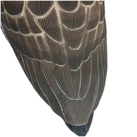 Shero Leurre de chasse Canard colvert en plastique EVA, moulé par soufflage, à mouvement électrique, mi-flottant, brun, coque en mousse intégrale, 0,35 kg