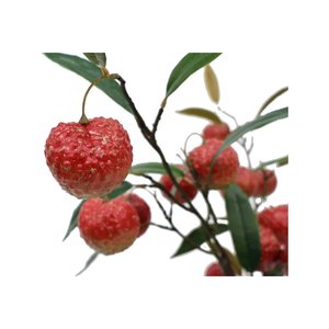 Bouquet de fleurs artificielles en plastique effet naturel, feuilles de <span class=keywords><strong>litchi</strong></span>, branche d'<span class=keywords><strong>arbre</strong></span>, pour mariage, maison, remise de diplôme, Noë<span class=keywords><strong>l</strong></span>, Nouvel An - Product Image 4