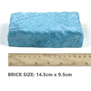 Nuevos diseños educativos tallo arqueología cavar y descubrir Mini plástico animales marinos juguete cavar hacia fuera Kit Diy Kits de excavación - Product Image 3