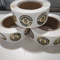 Autocollants de loterie en vinyle écologique imperméable à double couche, étiquettes de tirage au sort à décoller et révéler, motif dessin animé