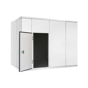 Walk in freezer room manufacturer large capacity 20ft solar second hand cold room storage