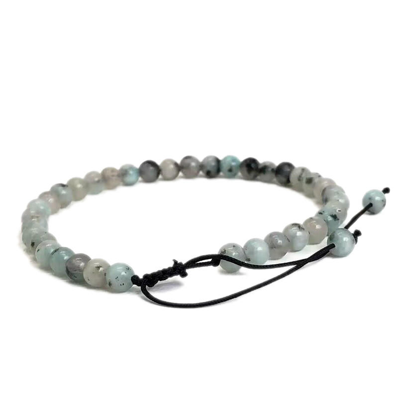 Orchidée de Tianshan