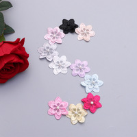 RYL Appliques florales classiques multicolores en dentelle perlée, broderies en organza, patchs pour loisirs créatifs, robe de mariée, accessoire pour cheveux