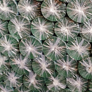 <span class=keywords><strong>Filet</strong></span> pare-soleil de jardin en plastique de protection UV 50gsm <span class=keywords><strong>Filet</strong></span> d'<span class=keywords><strong>ombrage</strong></span> pour serre verte Agro - Product Image 5