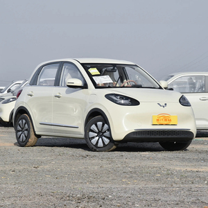 2024 Wuling Bingo 204km Mini coche eléctrico para Adultos Versión usada Coupe Light Interior ACC Control de <span class=keywords><strong>crucero</strong></span> R16 Tire AWD cuero - Product Image 6