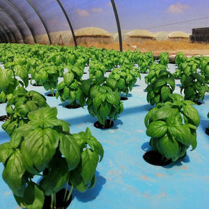 G & N-tablero de espuma flotante, sistema de cultivo hidropónico aquapónico DWC para lechuga, 40kg/<span class=keywords><strong>M3</strong></span> - Product Image 2