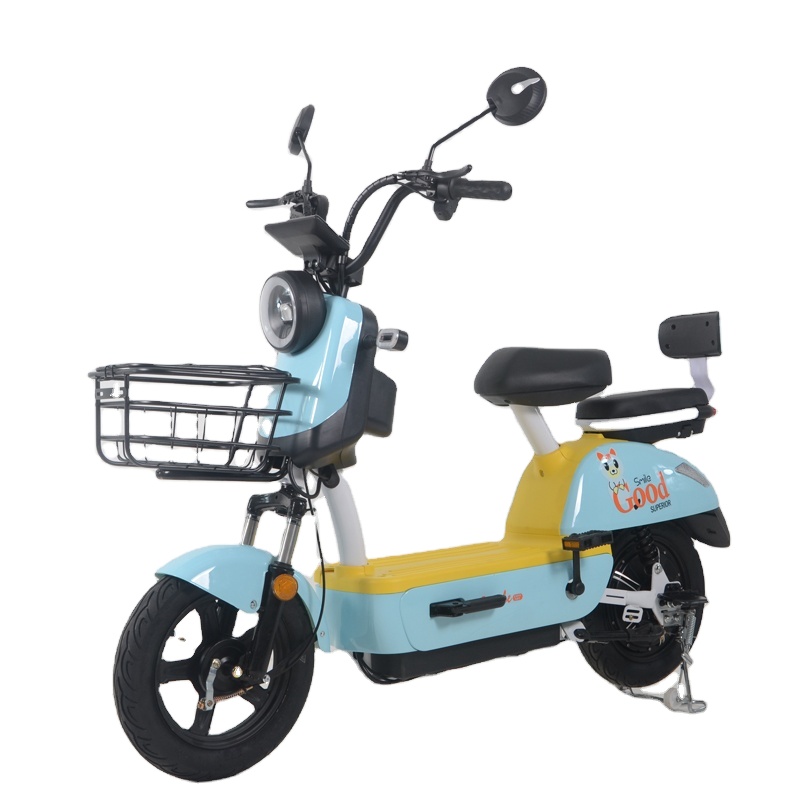 Fast Delivery Electric Utility Bicycle Bike Lead Acid Battery Electric Bicycle Family Cargo Electric Bike With Basket Rear Rack