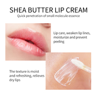 Baume à lèvres au beurre de karité, base de rouge à lèvres hydratante, crème réparatrice pour les lèvres naturelle et biologique