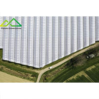 Grote enkellaagse plastic folie multispan kas met geautomatiseerde systemen voor commerciële groente- en bessenteelt