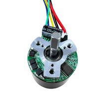 Moteur BLDC haute efficacité 7,4 V BL2820W avec contrôle PWM progressif, haute vitesse, indice de protection IP54, pour mini pistolet de massage portatif