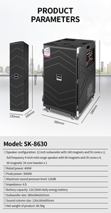 Nhà Máy Giá ngoài trời COV PA hoạt động mảng Hệ thống dòng 500W 40AH gỗ pin có thể sạc lại 100W Công suất đầu ra USB <span class=keywords><strong>AUX</strong></span> RCA - Product Image 6