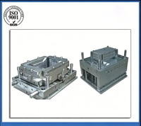Molde de inyección para cajas de almacenamiento grandes y resistentes, con 20 años de experiencia en logística, para cestas de frutas y verduras.