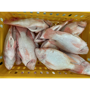 <span class=keywords><strong>ปลา</strong></span>นิลแช่แข็งขายส่ง <span class=keywords><strong>ปลา</strong></span>นิลแดง <span class=keywords><strong>ปลา</strong></span>นิลโรจา <span class=keywords><strong>ปลา</strong></span>ทิลาเปียรูจ <span class=keywords><strong>ปลา</strong></span>แช่แข็งสำหรับส่งออก - Product Image 5