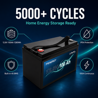 Batterie LiFePO4 12V 100Ah 12,8V 1280Wh à décharge profonde pour stockage d'énergie domestique, remplacement de batterie solaire au plomb-acide