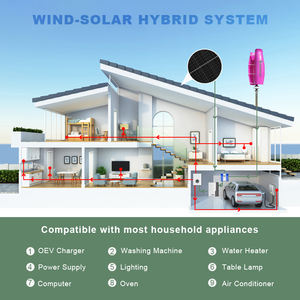 Maison d'<span class=keywords><strong>éolienne</strong></span> à <span class=keywords><strong>axe</strong></span> <span class=keywords><strong>vertical</strong></span> haute efficacité 1000W avec <span class=keywords><strong>éolienne</strong></span> <span class=keywords><strong>domestique</strong></span> 2 Plads - Product Image 5