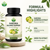 Cápsulas de Suplemento Dietético Herbal de Garcinia Cambogia, 60 Unidades, 6 en 1, Marca Privada OEM ODM, Empaque Personalizado, Suministro al por Mayor B2B