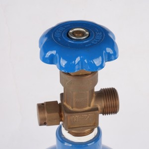 Bình oxy gia dụng 2L, bình khí y tế di động, bình O2 dùng trong chăm sóc sức khỏe - Product Image 2