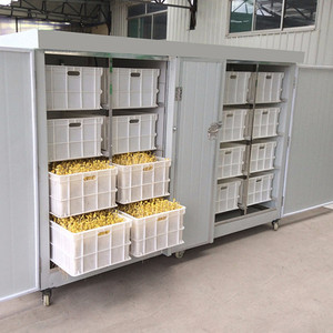 Máquina Automática para Germinar Frijoles con Control <span class=keywords><strong>de</strong></span> Temperatura, Germinadora <span class=keywords><strong>de</strong></span> <span class=keywords><strong>Soja</strong></span> para Restaurantes - Product Image 3