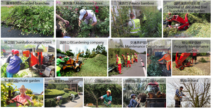 Hot trên bán Tốc độ nhanh 20cm cây chi nhánh cắt lâm nghiệp máy móc tông đơ - Product Image 6