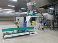 Machine d'emballage de poudre de farine 25kg 50kg, machine de remplissage de sacs pour amidon, cacao, sucre, protéines en poudre
