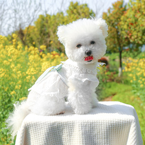 Vestido de Princesa de Verano para Mascotas, Ropa para Perros y Gatos, Vestidos de Princesa para Perros, Falda para Gatos, Camisa y Disfraz para Perros - Product Image 4