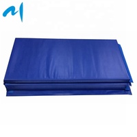 Colchoneta para hacer ejercicio en el gimnasio, estera de alta densidad para hacer ejercicio aeróbico, de espuma gruesa, azul