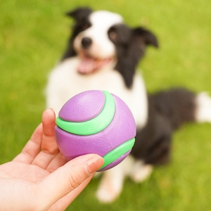 Produttore di colori casuali all'ingrosso Ultra-durevole TPR giocattoli per cani da compagnia di piccole dimensioni <span class=keywords><strong>4</strong></span> cm di gomma elastica cigolante palla di addestramento animale - Product Image 1