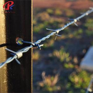 Fil barbelé haute sécurité en acier, fabriqué à partir de treillis métallique en fer - Product Image 2