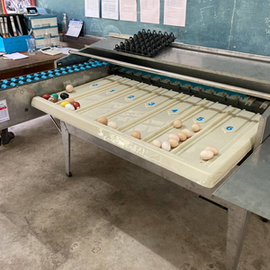 Máquina Clasificadora y Calibradora de Huevos de Aves de Corral de Grado de Exportación JantaFarm, 4500 Huevos por Hora, Acero Inoxidable, Automática - Product Image 2